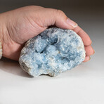 Blue Celestite Cluster From Sankoany, Ketsepy Mahajanga, Madagascar