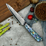 Suraisu Master Chef 5 Piece Knife Set // Chef Knife // Nakiri Cleaver // Korouchi // Boning Knife Set