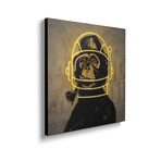 Neon Monkey by Danilo de Alexandria