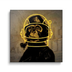 Neon Monkey by Danilo de Alexandria