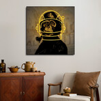 Neon Monkey by Danilo de Alexandria