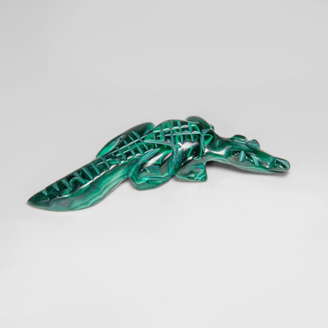Genuine Polished Malachite Crocodile  Carving // 77.4 g