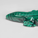 Genuine Polished Malachite Alligator Carving