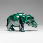 Genuine Polished Malachite Hippo Carving // 303.5 g