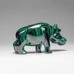 Genuine Polished Malachite Hippo Carving // 303.5 g