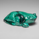 Genuine Polished Malachite Frog Carving // 228.6 g