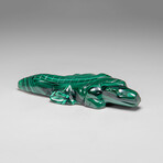 Genuine Polished Malachite Alligator Carving