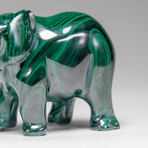 Genuine Polished Malachite Elephant Carving // 197.4 g