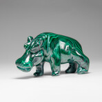 Genuine Polished Malachite Hippo Carving // 303.5 g