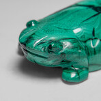 Genuine Polished Malachite Frog Carving // 228.6 g