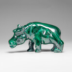 Genuine Polished Malachite Hippo Carving // 303.5 g