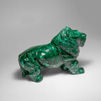 Genuine Polished Malachite Lion Carving // 5.2 lbs