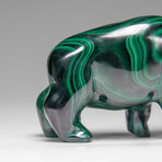 Genuine Polished Malachite Hippo Carving // 303.5 g