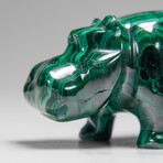 Genuine Polished Malachite Hippo Carving // 355.8 g