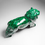 Genuine Large Polished Malachite Lion Carving
