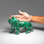 Genuine Large Polished Malachite Lion Carving