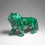 Genuine Large Polished Malachite Lion Carving
