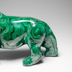 Genuine Large Polished Malachite Lion Carving
