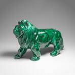 Genuine Large Polished Malachite Lion Carving