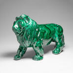 Genuine Large Polished Malachite Lion Carving