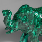 Genuine Large Polished Malachite Elephant Carving