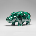 Genuine Polished Malachite Hippo Carving // 355.8 g