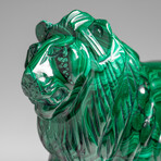 Genuine Large Polished Malachite Lion Carving