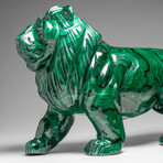 Genuine Large Polished Malachite Lion Carving