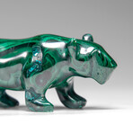 Genuine Polished Malachite Panther Carving // 192.2 g