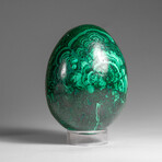 Genuine Polished Malachite Egg with Acrylic Stand // 1.9 lbs