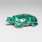Genuine Polished Malachite Turtle Carving