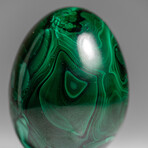 Genuine Polished Malachite Egg with Acrylic Stand // 334.9 g