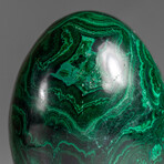 Genuine Polished Malachite Egg with Acrylic Stand // 1.9 lbs