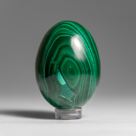 Genuine Polished Malachite Egg with Acrylic Stand // 160 g