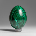Genuine Polished Malachite Egg with Acrylic Stand // 160 g