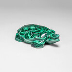 Genuine Polished Malachite Turtle Carving