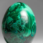 Genuine Polished Malachite Egg with Acrylic Stand // 303 g