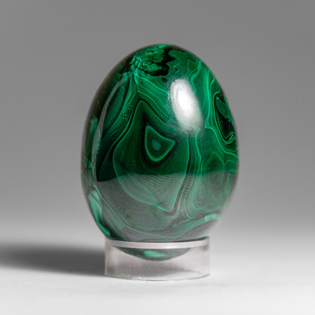 Genuine Polished Malachite Egg with Acrylic Stand // 303 g