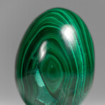 Genuine Polished Malachite Egg with Acrylic Stand // 160 g