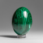 Genuine Polished Malachite Egg with Acrylic Stand // 160 g