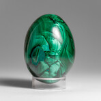 Genuine Polished Malachite Egg with Acrylic Stand // 334.9 g
