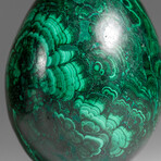 Genuine Polished Malachite Egg with Acrylic Stand // 1.9 lbs