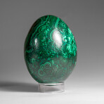 Genuine Polished Malachite Egg with Acrylic Stand // 1.9 lbs