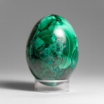 Genuine Polished Malachite Egg with Acrylic Stand // 303 g