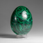 Genuine Polished Malachite Egg with Acrylic Stand // 1.9 lbs