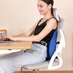 LUMBRAZE: Orthopedic Lumbar Seat Cushion