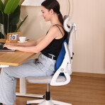 LUMBRAZE: Orthopedic Lumbar Seat Cushion