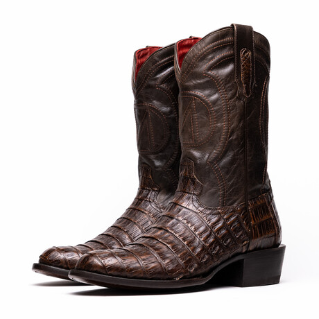 Western Collection Phoenix // Caiman Belly Leather Cowboy Boot // Aged Brown (US: 7)
