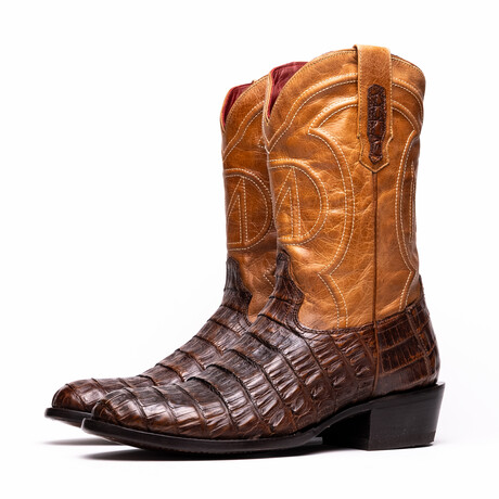 Western Collection Phoenix // Caiman Belly Leather Cowboy Boot // Aged Maple (US: 7)