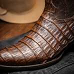 Western Collection Phoenix // Caiman Belly Leather Cowboy Boot // Aged Brown (US: 8)